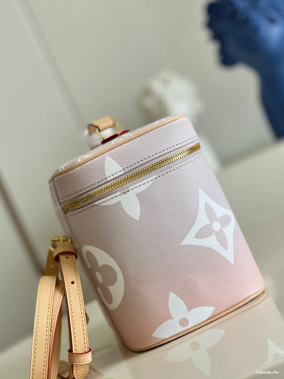 TOILETRY LOUIS VUITTON BAG 1231